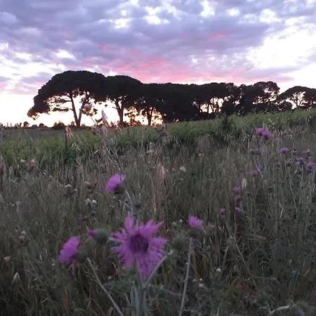 Sweety Garden Montpellier